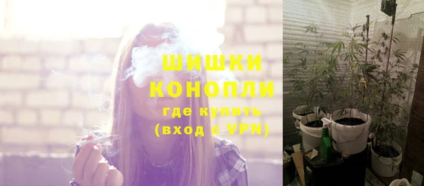стафф Куйбышев