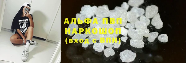 стафф Куйбышев