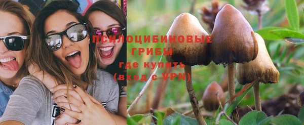 мескалин Кулебаки