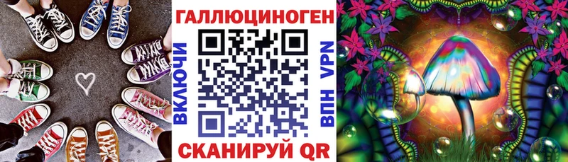Псилоцибиновые грибы Cubensis Елизово