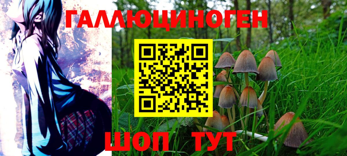 Галлюциногенные грибы Magic Shrooms  Елизово 